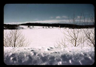 195X_XX_01_033.jpg