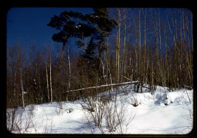195X_XX_01_034.jpg