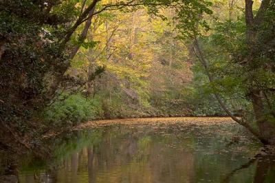 Pond_CRW_8510.jpg