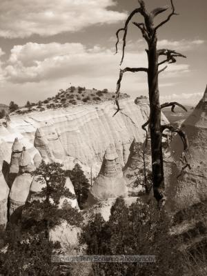 Tent Rocks, New Mexico