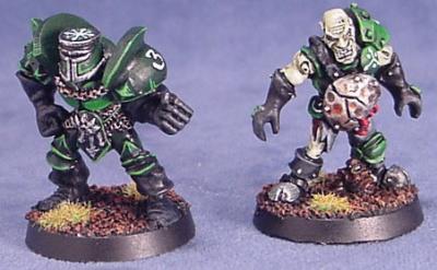 ROTTERS_Warriors_2.jpg