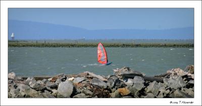 u35/terdonal/medium/31791009.IMG_6521copy.jpg