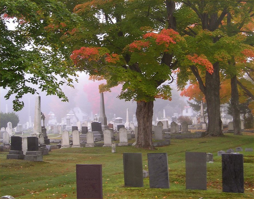 Misty morning