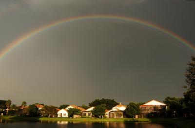 My backyard