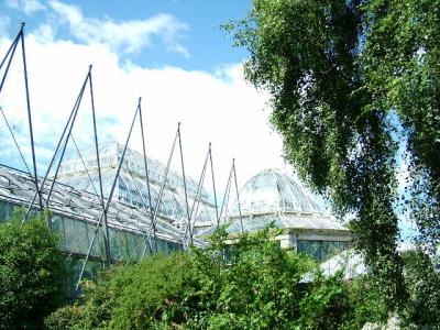 035 Exterior of Palm House.JPG