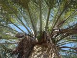 x Jubutia on the Strand, Tauranga, NZ