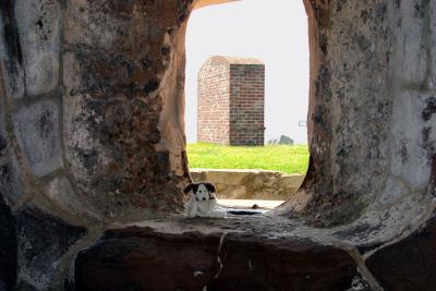 Visiting Fort Sumter