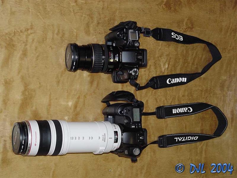 100-400 L IS vs 28-135 IS