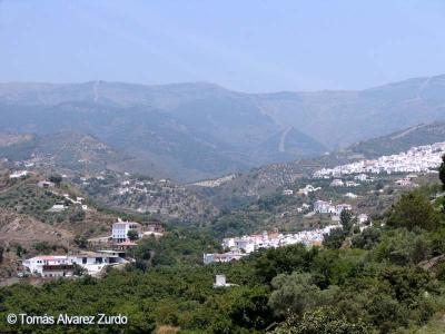 Sayalonga