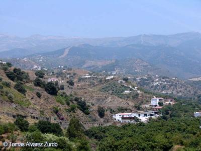 Sayalonga