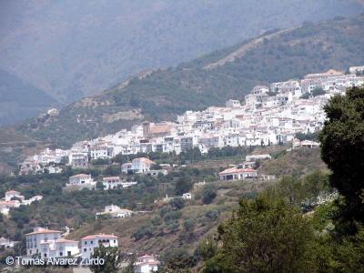 Sayalonga