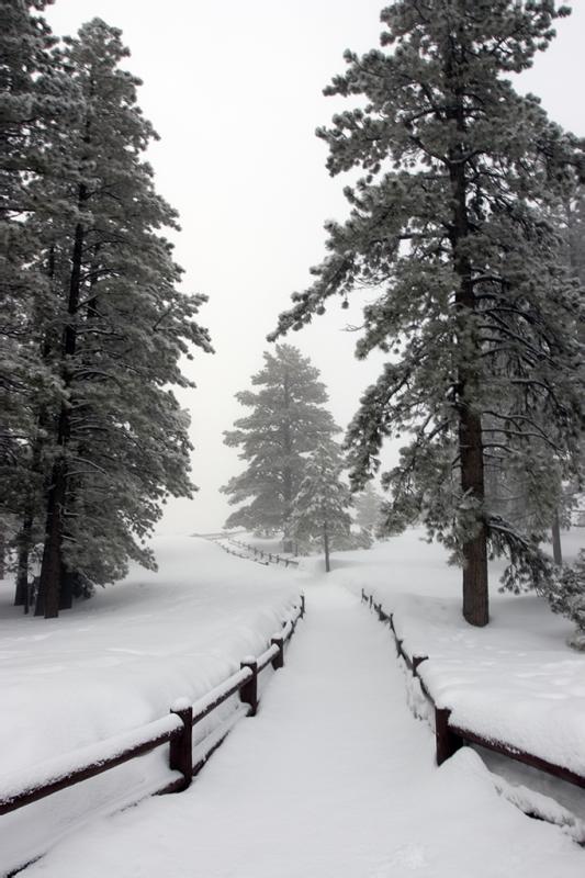 Way too much snow
