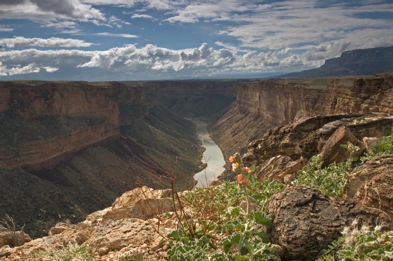 Geraminium on the Rim