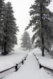 Way too much snow