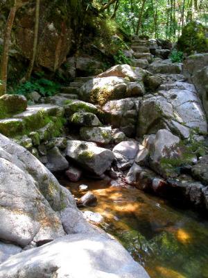 Ancient River Steps (at low water)