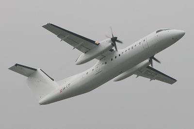 OE-LTF