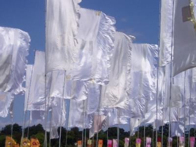 Flags in the sunshine