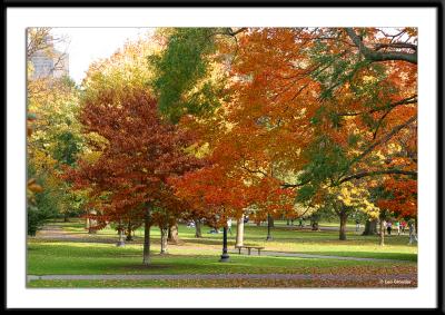 Boston Common near the public gardens.