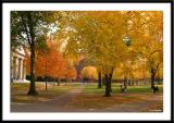 Harvard University and Cambridge