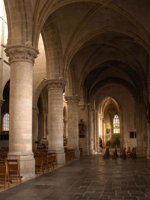 u35/trees/medium/23177213.2838basiliek.jpg