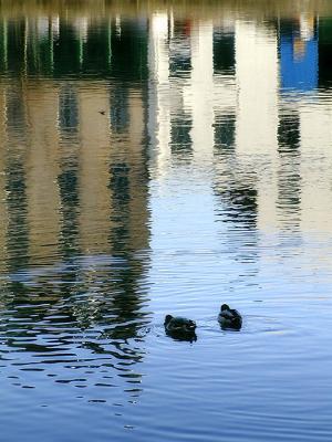 Reflections on Leith
