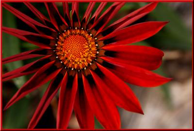 u35/vandigital/medium/40513878.IMG1_0165.jpg