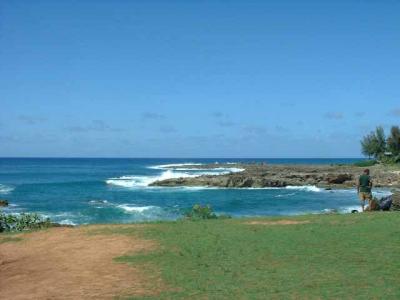 Shark Cove