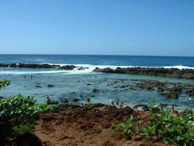 Shark Cove