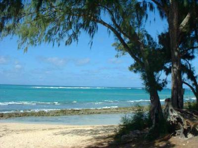 Picnic Beach