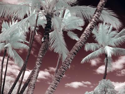 Hawaii '05' Infra Red