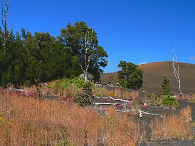 Devastation Trail- Volcano National Park
