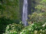 Akaka Falls #3