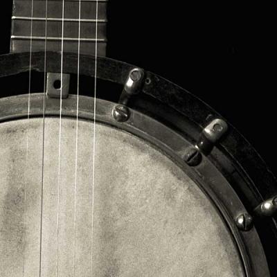 banjodetail.jpg