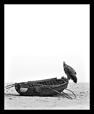 Boat with Vulture