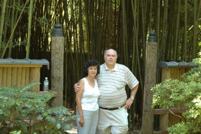 Entrance to the bamboo forest II
