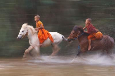 horse monk 1393-2.jpg