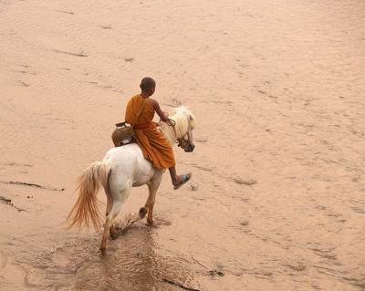 horse monk1008.jpg