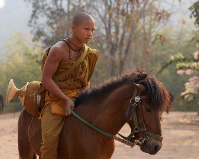 horse monk1249.jpg