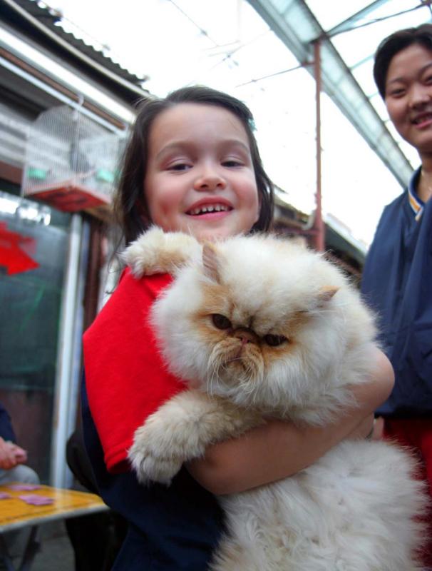 Cat Lover on Day 2 in Shanghai