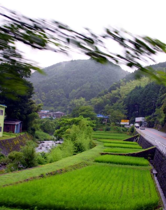 Shot from the Bus in the Japan Countryside r.jpg