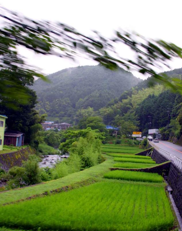 Shot from the Bus in the Japan Countryside