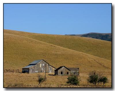 Barn