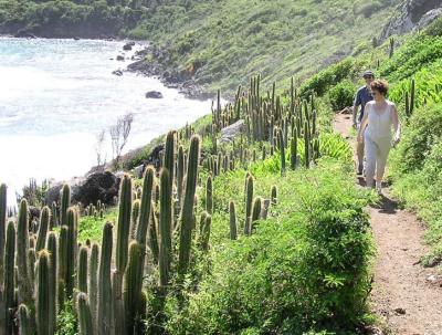 Hiking trail