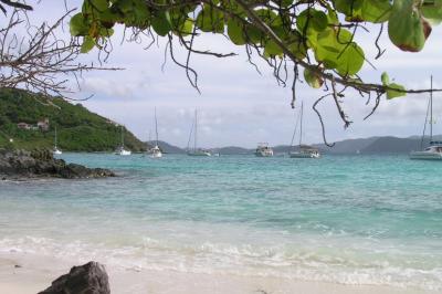 View from Shady Spot