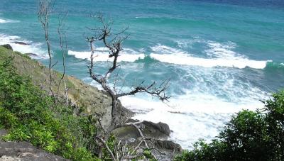 The ocean from the trail