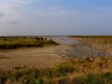 laguna atascosa