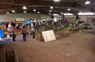 fair14_9044.jpg