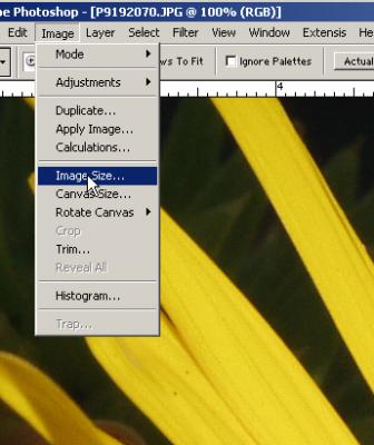 Resize in Photoshop 7 and  Elements 2