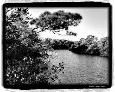 862 DigiDaan B&W Conversion