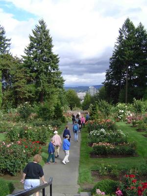 007 Rose Garden - Washington Park (1) web.jpg